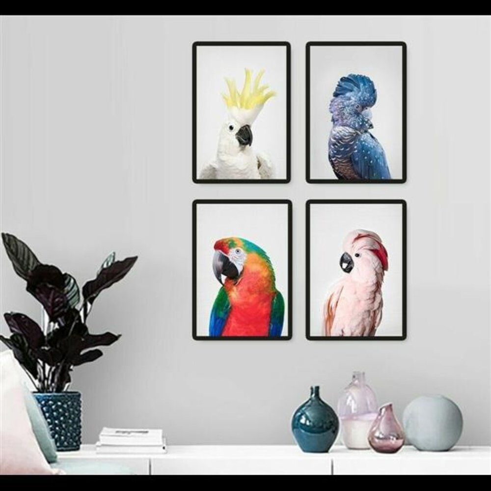 Birds Macaws Cockatoo Parrot Wall Art Set of 4 Prints
